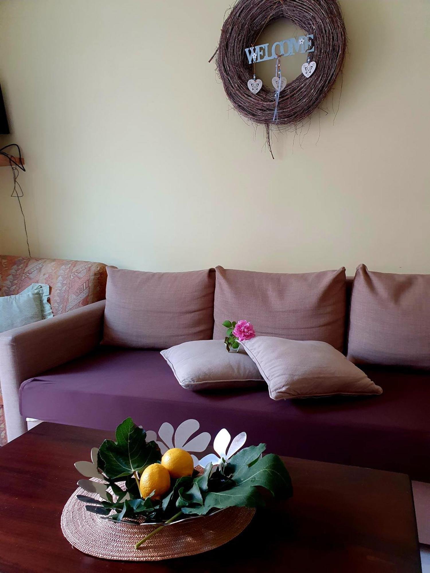 Casa Vacanze Rosy "Nel Verde" 帕利努罗 外观 照片