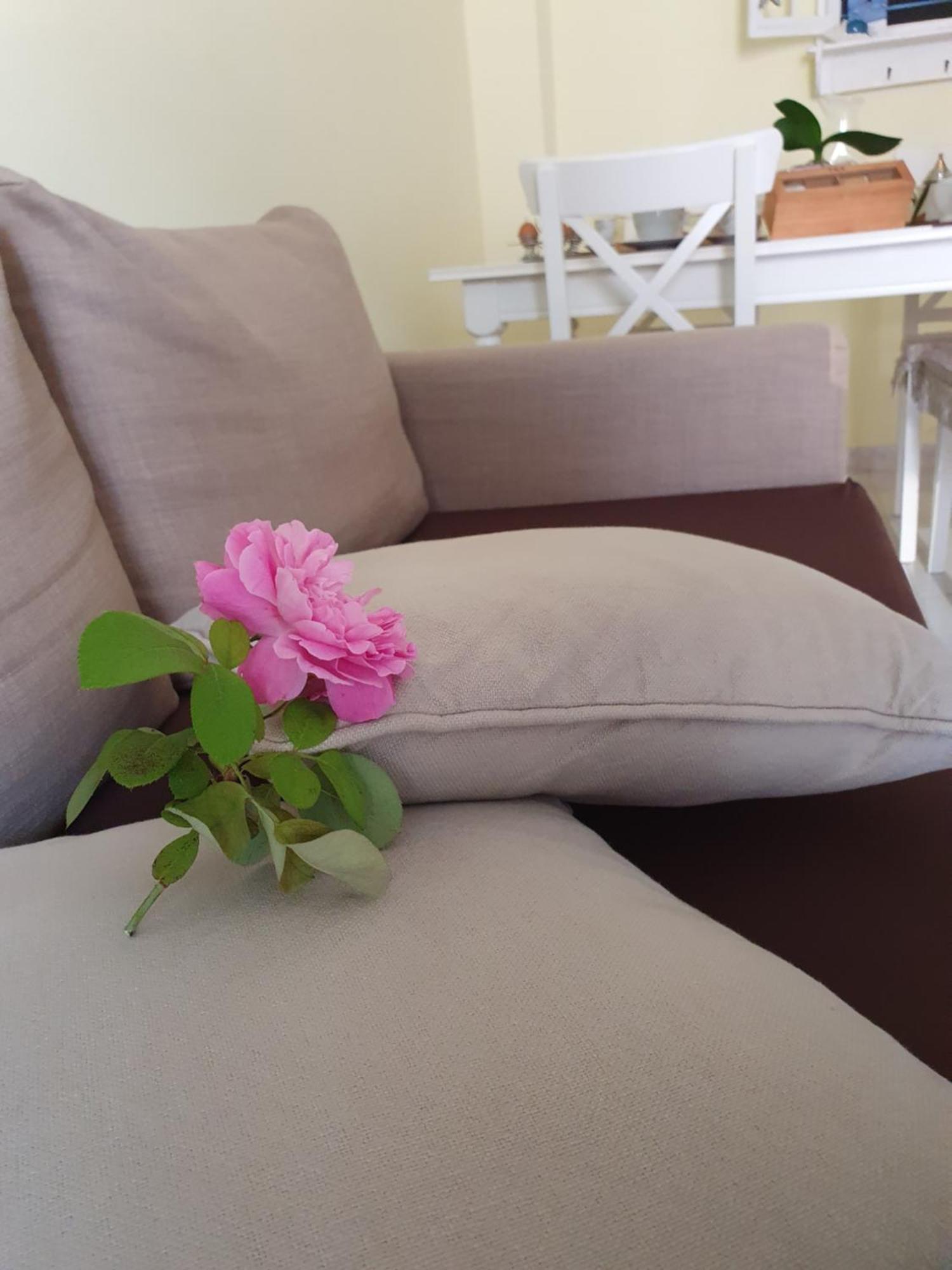 Casa Vacanze Rosy "Nel Verde" 帕利努罗 外观 照片
