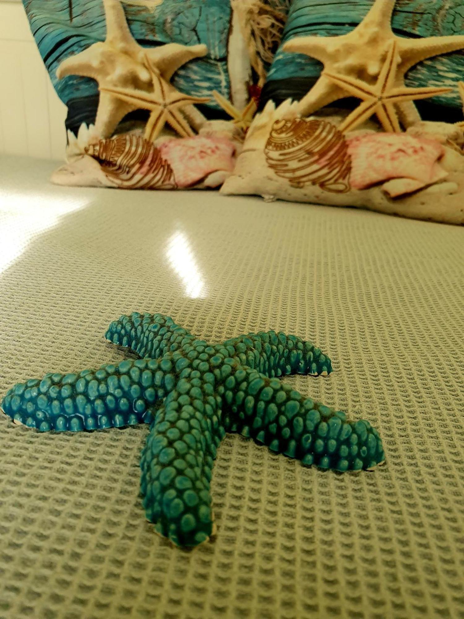 Casa Vacanze Rosy "Nel Verde" 帕利努罗 外观 照片