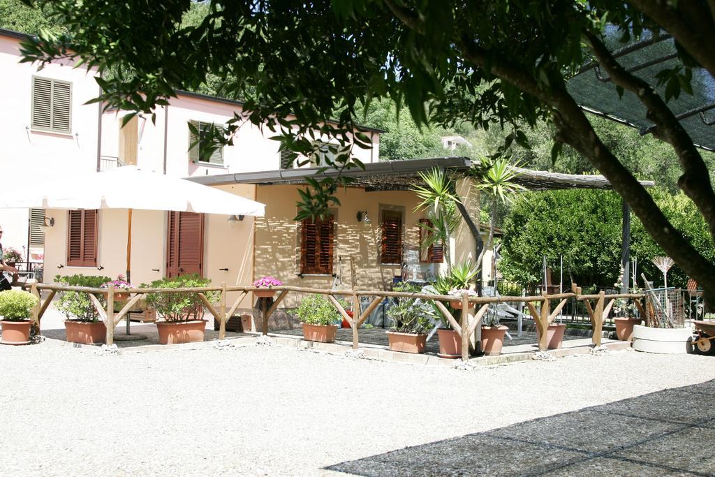 Casa Vacanze Rosy "Nel Verde" 帕利努罗 客房 照片
