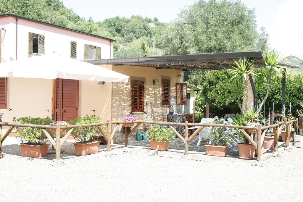 Casa Vacanze Rosy "Nel Verde" 帕利努罗 客房 照片