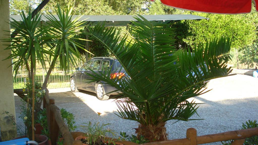 Casa Vacanze Rosy "Nel Verde" 帕利努罗 外观 照片